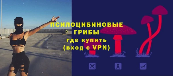 твердый Зеленокумск