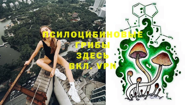 прущая мука Зеленодольск