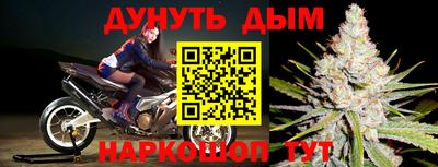 каннабис Гатчина