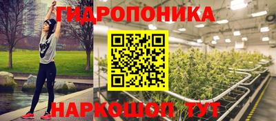 гидра Гагарин
