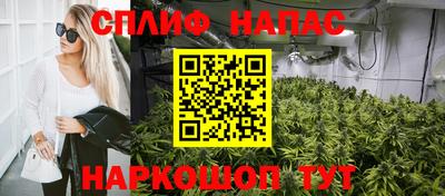 гидра Гагарин