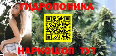 каннабис Гатчина