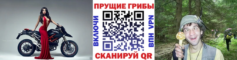 Псилоцибиновые грибы мицелий  купить закладку  Фурманов 