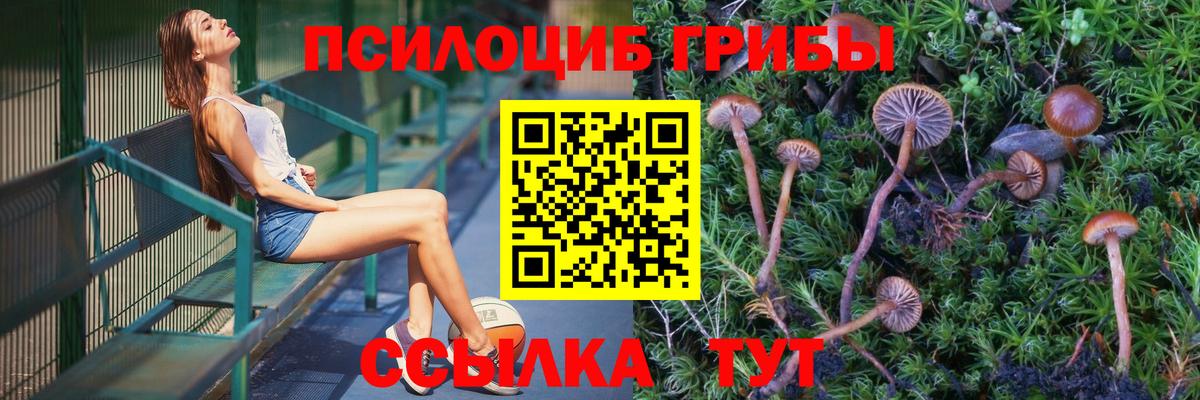 Псилоцибиновые грибы GOLDEN TEACHER  Фурманов 