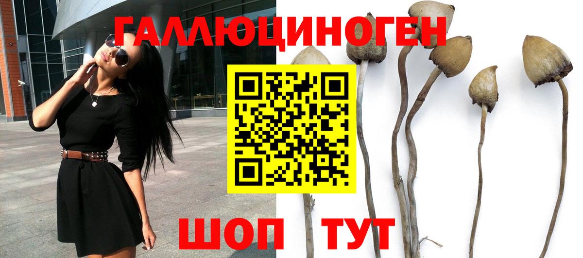 Псилоцибиновые грибы прущие грибы Фурманов